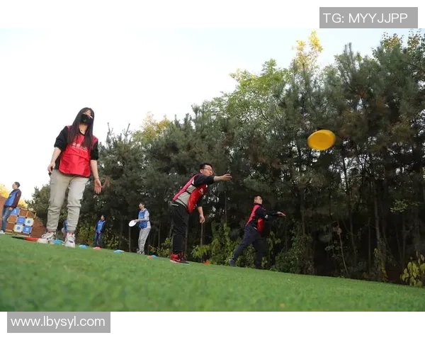 飞盘新手必看：全面掌握飞盘技巧与状态入门指南