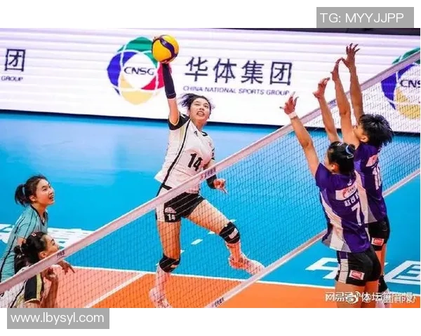 杭州排球队实力分析聚焦排球运动的未来发展与挑战